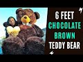 6 Feet Teddy Bear Unboxing | Valentine Giant Teddy Bear Unboxing | Best Birthday Gift For Girlfriend
