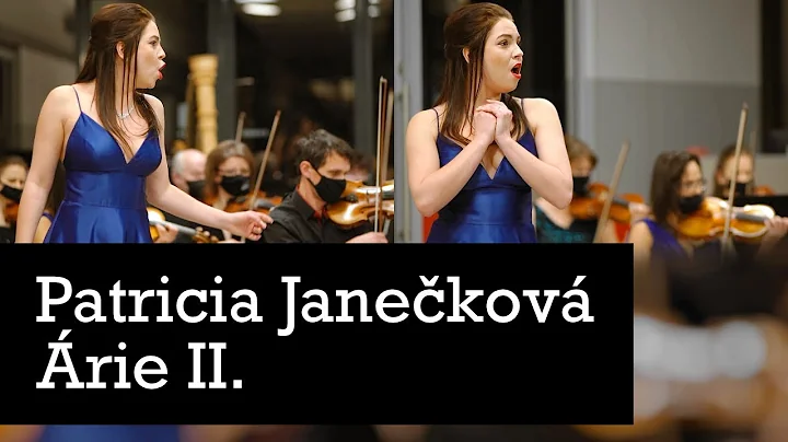 Patricia Janekov: rie II.