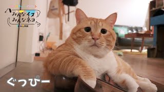 ぐっぴープロフィールムービー・みんなイヌみんなネコ特別バージョン