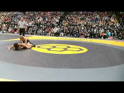 2025 OHSAA  Wrestling Finals 144 Lbs.  D1