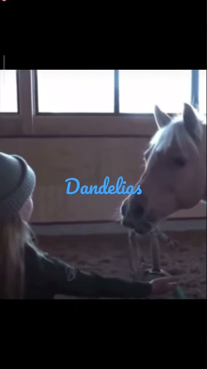 Harlow and Popcorn dandelias 💖 || HorseE D I T🐴