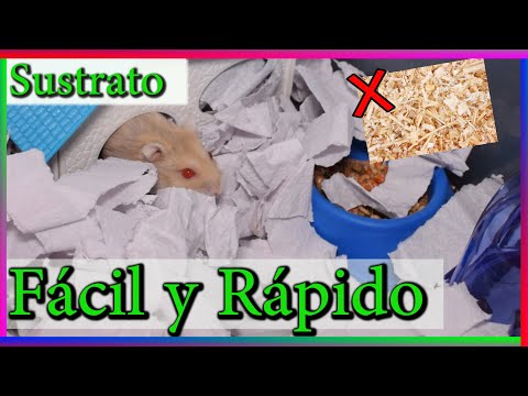 Video: Fertilizante de estiércol de jerbo y hámster - Compostaje de estiércol de roedores pequeños