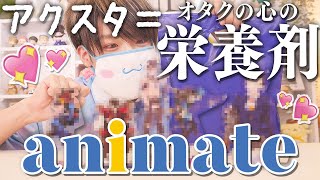 【animate】真夏にアニメイトで推しの栄養補給してきた🌻【購入品紹介】