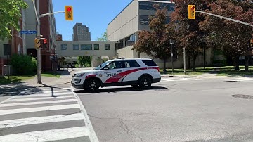 OC transpo special constable driving by
