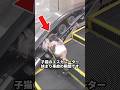 猫が挟まる