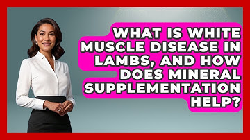 What Is White Muscle Disease In Lambs, And How Does Mineral Supplementation Help?