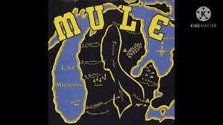 Mule - Mule (1993) [Full Album]