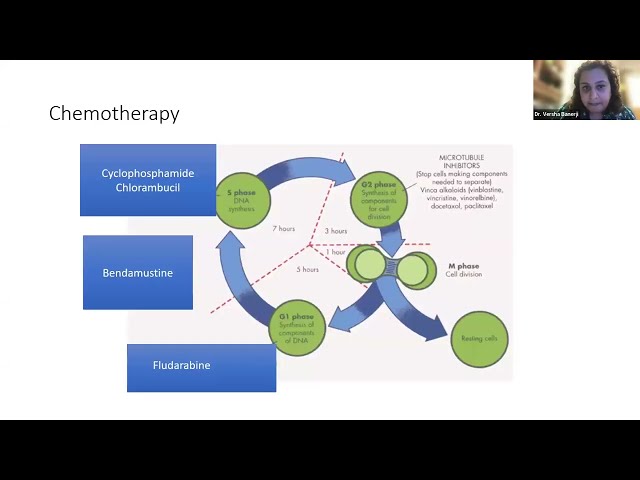 New Treatment Guidelines to Chronic Lymphocytic Leukemia (CLL): Latest advances & treatments class=