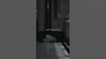 تلاوة مؤثرة للشيخ ياسر الدوسري - والله يريد أن يتوب عليكم .