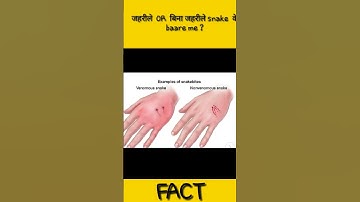 How you will get to know a snake is venomous or not 😱😱😱🤔🤔🤔 #Shorts