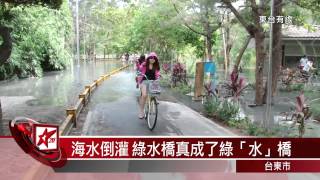 20141013 海水倒灌 綠水橋真成了綠「水」橋