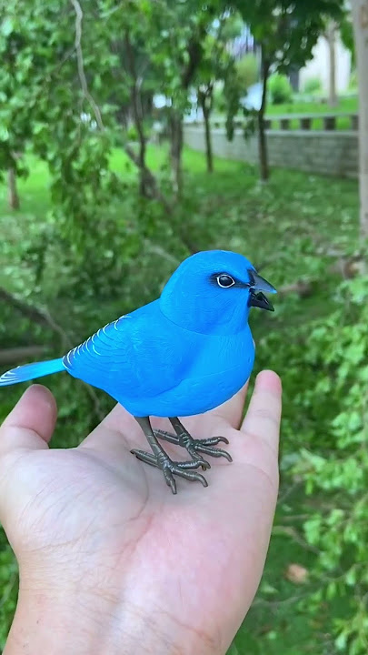 Kibtoy Blue Bird toy simulation electric singing bird can call and move
