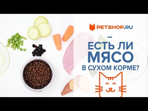 ИЗ ЧЕГО ДЕЛАЮТ СУХОЙ КОРМ ДЛЯ КОШЕК И СОБАК НА САМОМ ДЕЛЕ