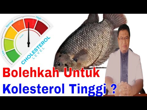 Apakah Ikan Goreng Mengandung Kolesterol
