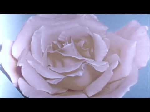 Bijou Violet - Naaiv. ❀