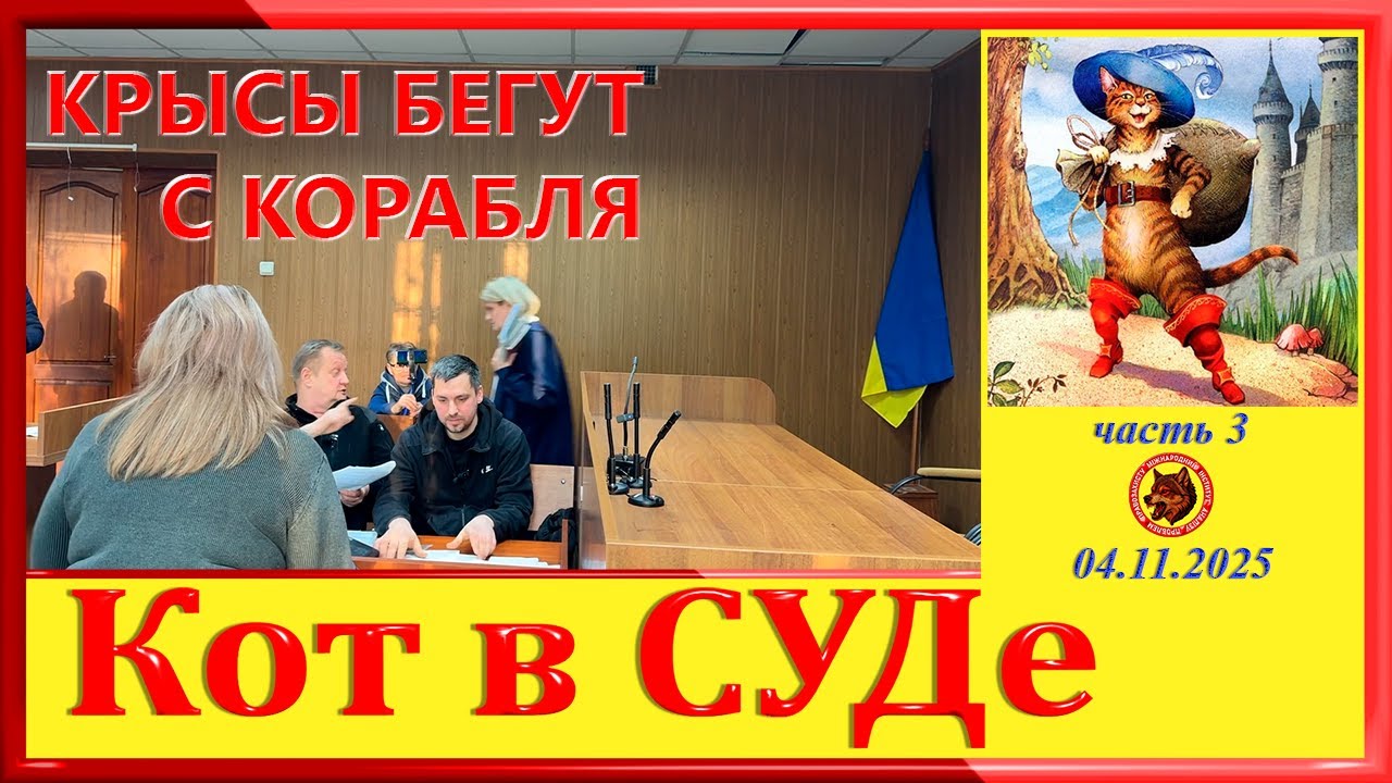 КРЫСЫ БЕГУТ С КОРАБЛЯ-  КОТ В СУДЕ