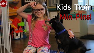 Can Miniature Pinschers Live with Children? by Min Pin Nation 2,908 views 3 years ago 8 minutes, 21 seconds
