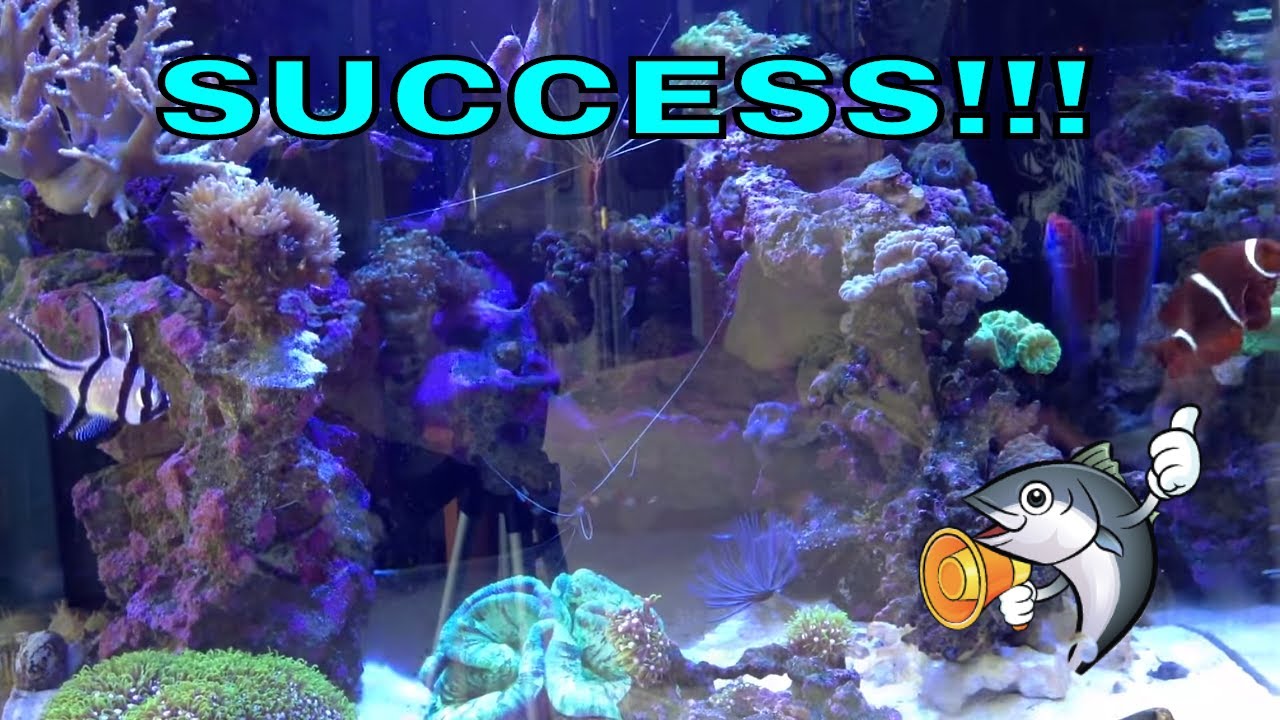 how to successfully start