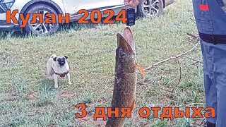 Отдых на Кулане 2024 с приключениями) Рыбалка на реке Куланутпес! щука на лягушку