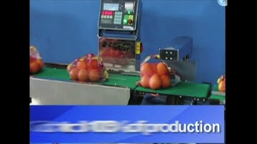 Nemesis  Checkweighers HSC350 C