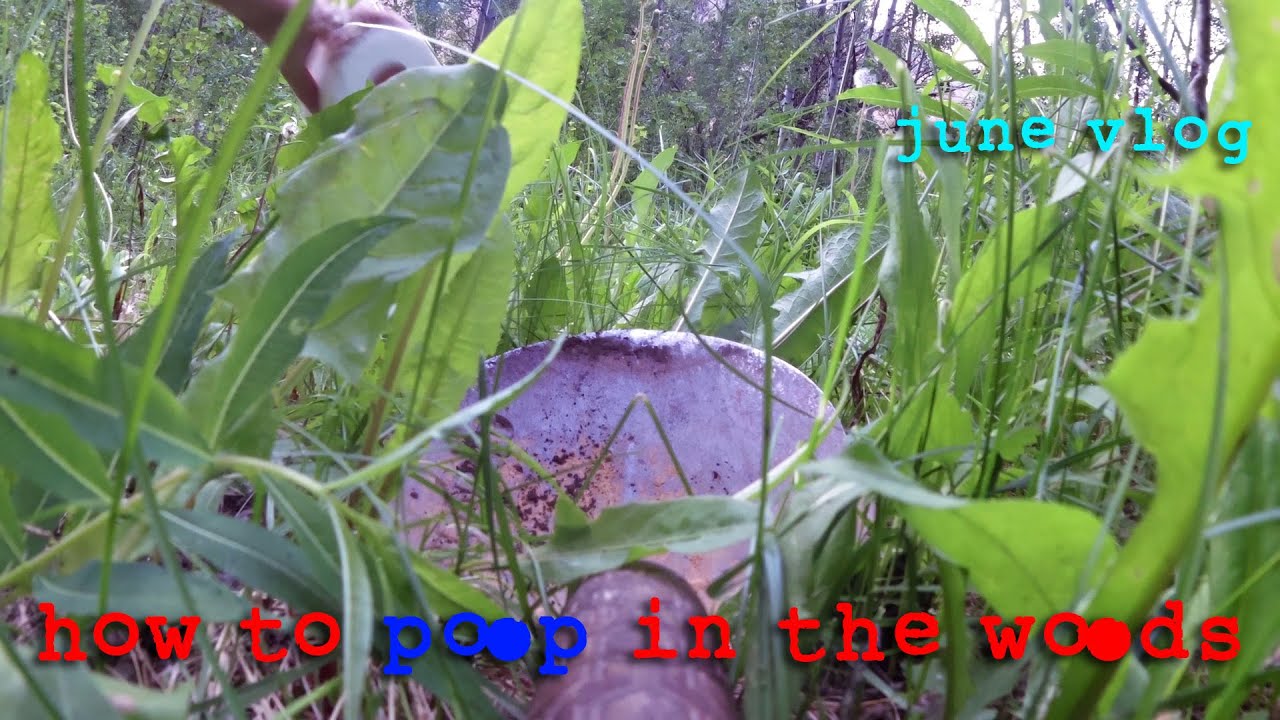 How to Poop in the Woods - June Vlog - YouTube
