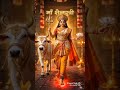 jay mata di