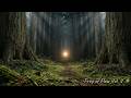 Freq of Flow Vol. V : 🍅 25/5 Pomodoro Cycle | 194.18Hz Grounding Frequency The Earth Anchor