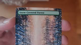 SnowCovered Forest