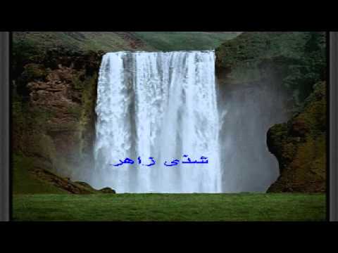 محمد وردى عاد الحبيب بالعود شذى زاهر 