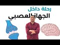 افهم وغذي بصرك الجهاز العصبي وكيف تعمل عقولنا علوم متكاملة أحياء ثانوية عامة 2026