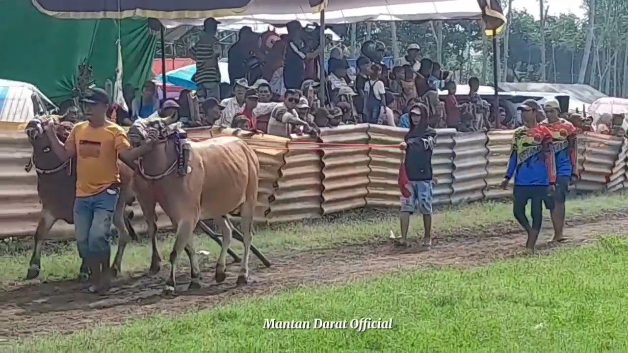 Kemenangan Tiem Mantan Darat Hut Tiem Bola Setan Tempuran Probolinggo