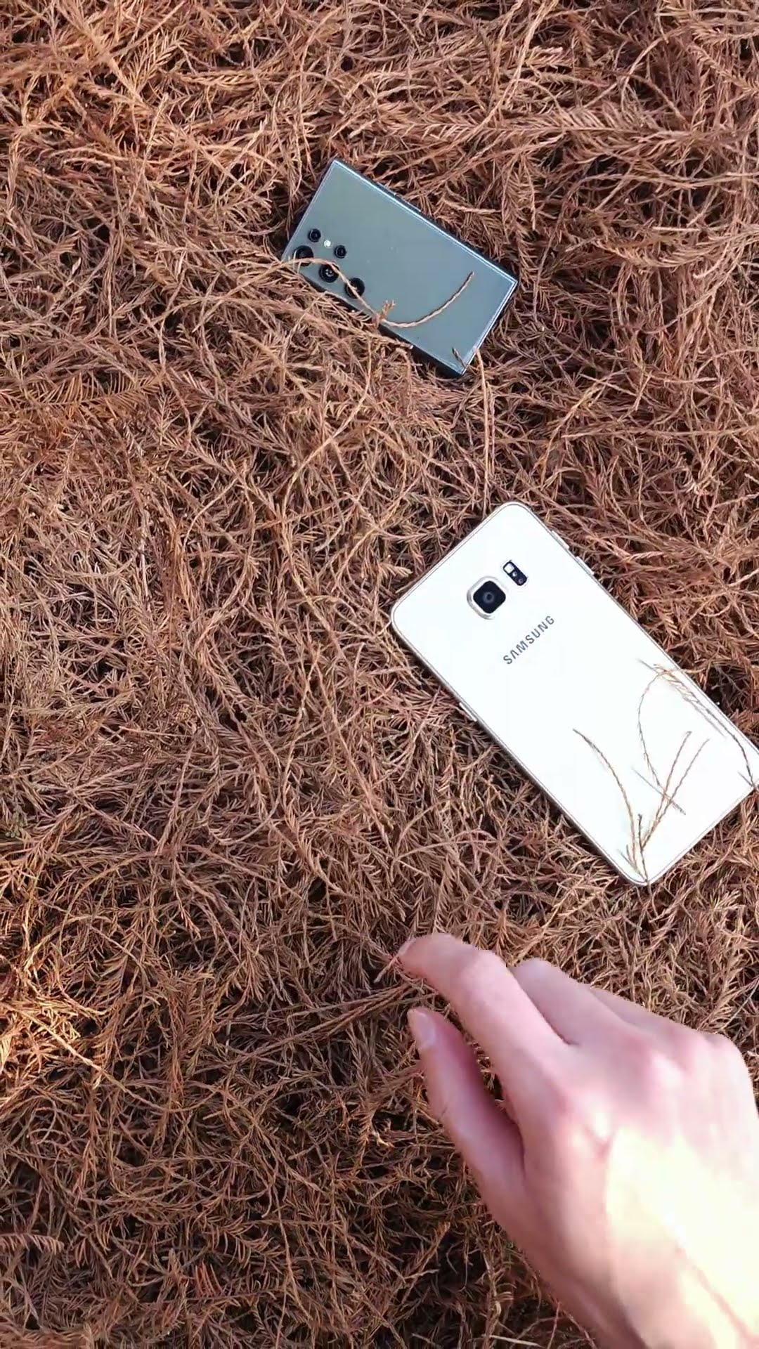 As expected of the world's top screen manufacturer! How good is the screen quality of Samsung S24