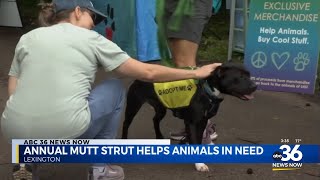 LHS Mutt Strut