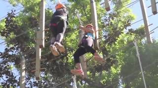 High Ropes and Elements Course - UF's Lake Wauburg