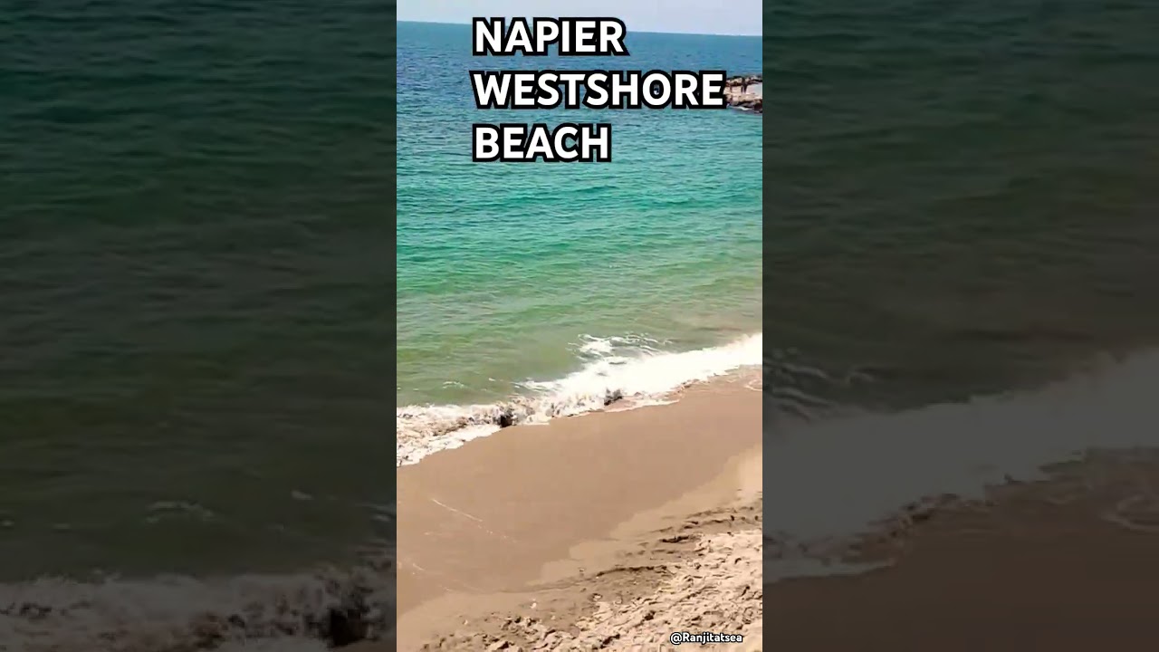 🏖️🔥 Napier’s Westshore Beach Magic 🌊✨