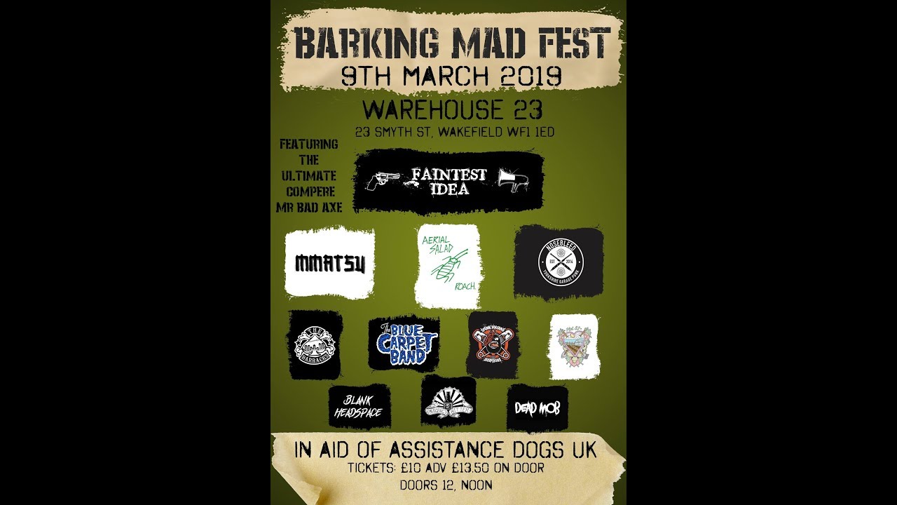 BARKING MAD FESTIVAL - (1/2) - Live Punk & Ska - 2X HD Cam - MPRV News