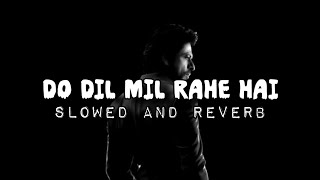 DO DIL MIL RAHE HAI || SLOWED AND REVERB || Lo-fi SONG || SAD SONG || SHAHRUKH KHAN