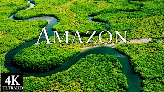 Amazon in 4k - Scenic Relaxation Film With Calming Music screenshot 5