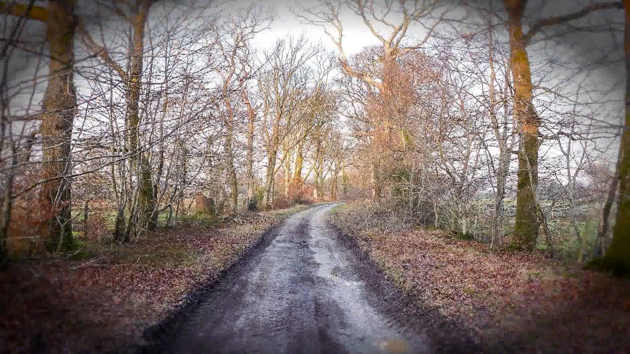 Lon Goed northbound walk (Chwilog, near Pwllheli, Wales, UK) YouTube