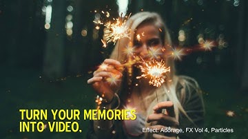 proDAD Adorage filter - Corel VideoStudio