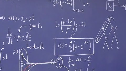 Principles of Biological Design - Theory 02 - Linear Growth and Diffussion Models