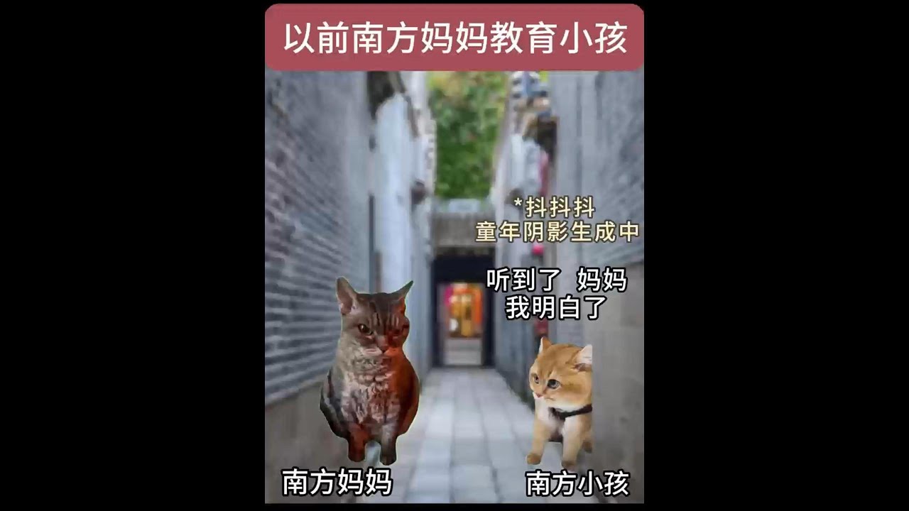 北方媽媽:掏心掏肺vs南方媽媽:掏心掏肺#幽默 #搞笑 #段子 #cat #貓meme #funny #cute #memes #萌宠 ...
