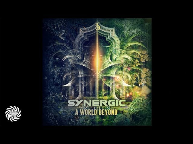 Guarda Synergic - Dissonance Theory su YouTube Guarda Synergic - Dissonance Theory su YouTube