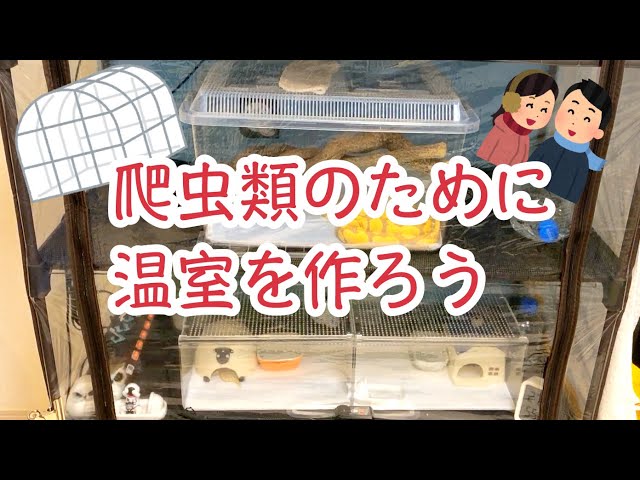 Get ready for winter! Build a greenhouse for your reptiles (and