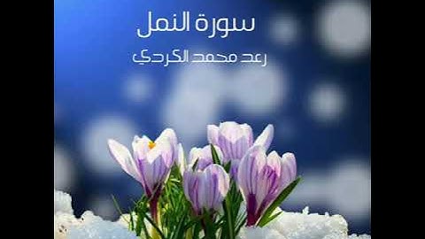 سورة النمل رعد الكردي
