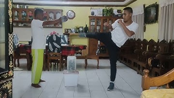 PE 101 Mastery of Kicks Video Task