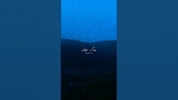 شجره شجره كوني كوني بلاويد Alshami الشامي حمادات دعمكم لايك اشتراك اكسبلور تعليق حب وحنان 