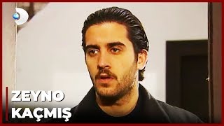 Zeyno Yine Erkanın Peşine Düştü Yılan Hikayesi 19.Bölüm