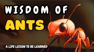 Wisdom of Ants | A Life lesson to Empower Your Life | The Inspirational Path to Greatness Success