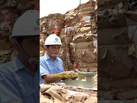Daur ulang kertas bisa jadi bahan bakar alternatif? Begini proses pengolahannya!